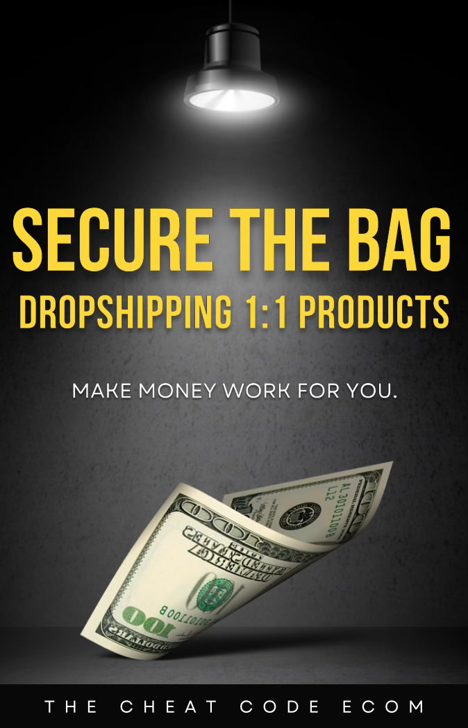 1:1 DROPSHIPPING E-Book